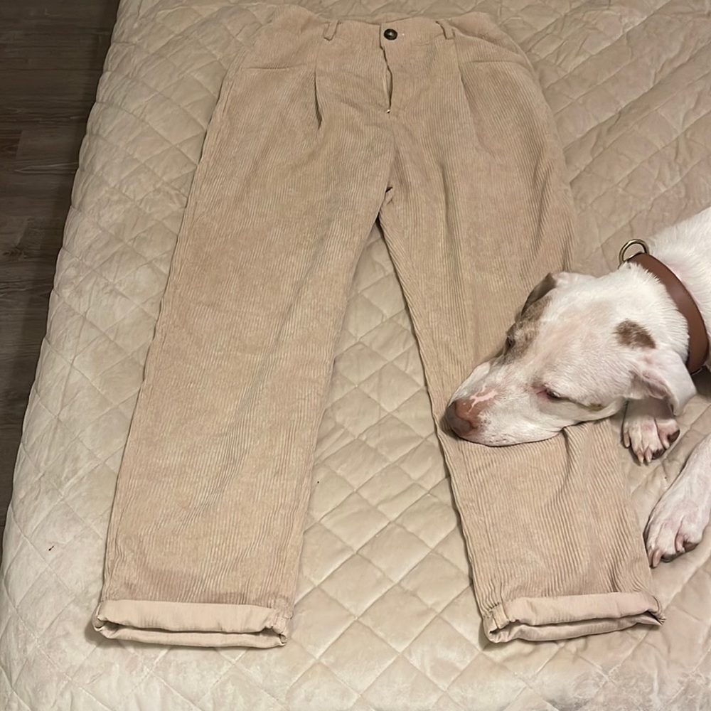 Pants